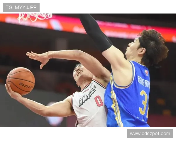 CBA球员原籍地统计:全国篮球人才地图