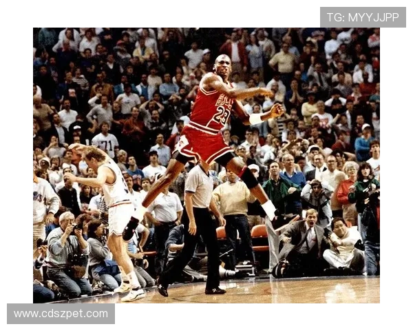 NBA季后赛总决赛分析,分析NBA季后赛与总决赛的精彩对决