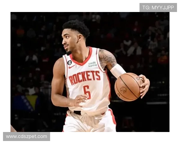 NBA马丁的赛场风格与技术特点