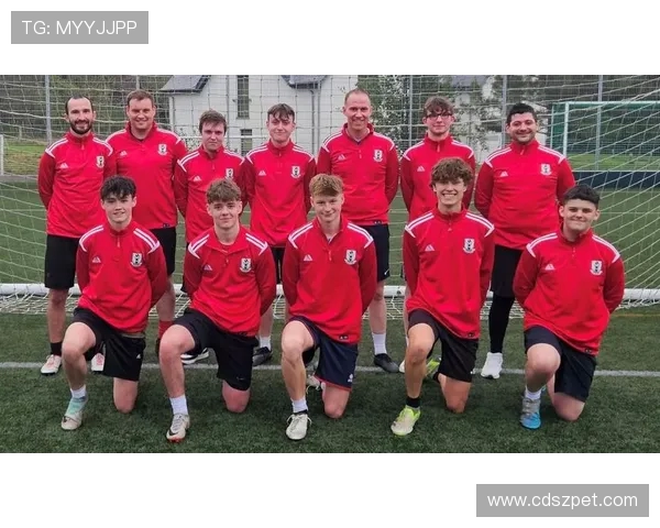 德甲最强的球队：哪些球队在德甲历史上最具竞争力？