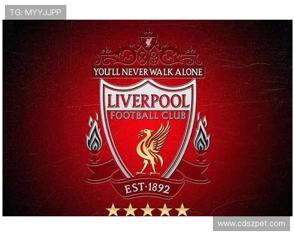 英超足球俱乐部球队相关全景解读为你还原幕后故事