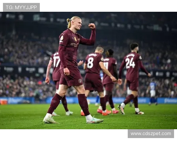 曼城球星哈兰德与女友巴黎度假晒幸福照享受短暂假期